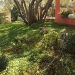 Appartamento 8473c Poljana (Ugljan)