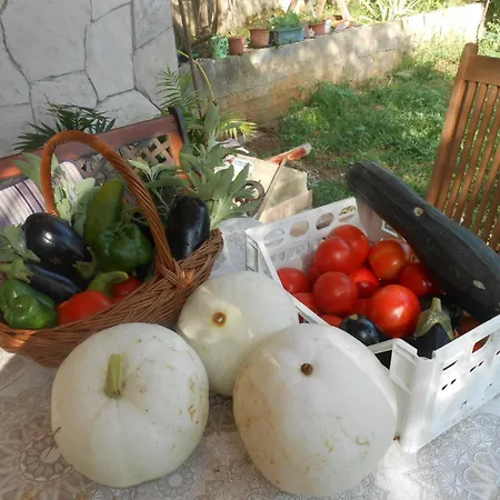 8473c Appartamento *